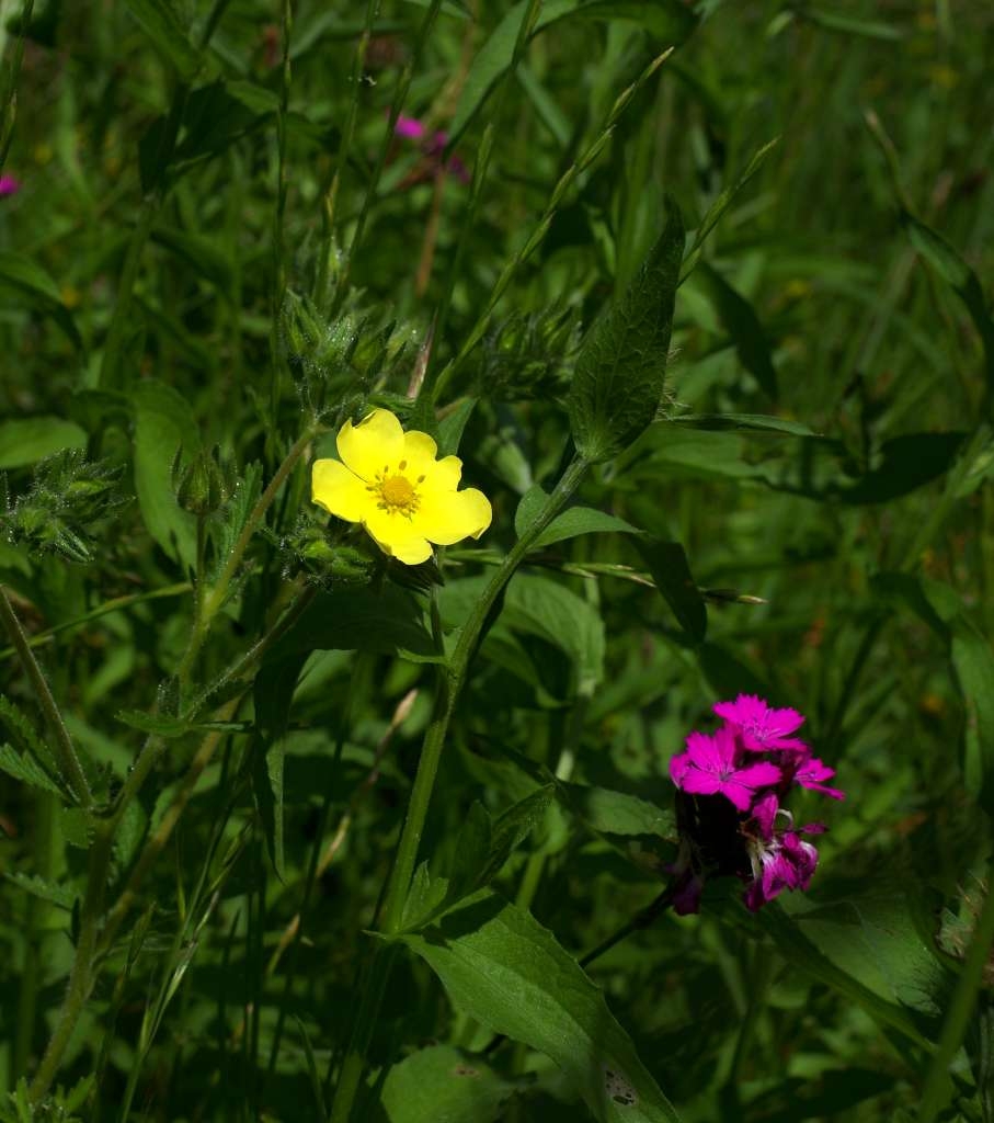 IMGP5403-1024~5.jpg