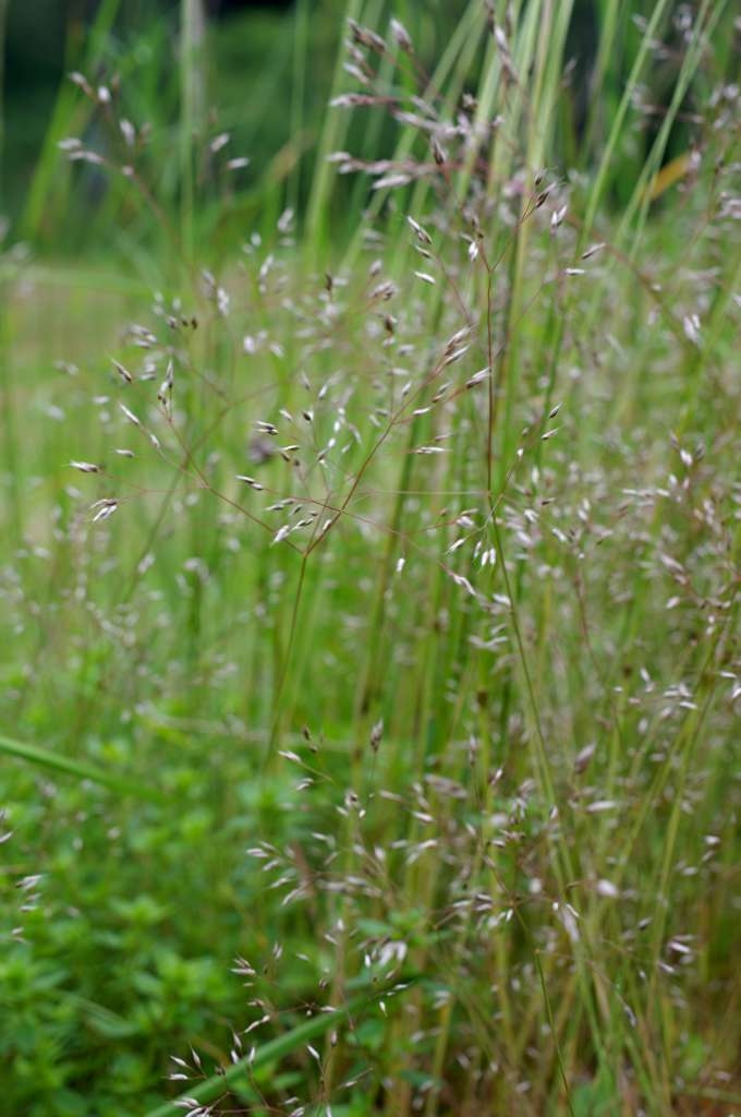IMGP5467-1024~2.jpg