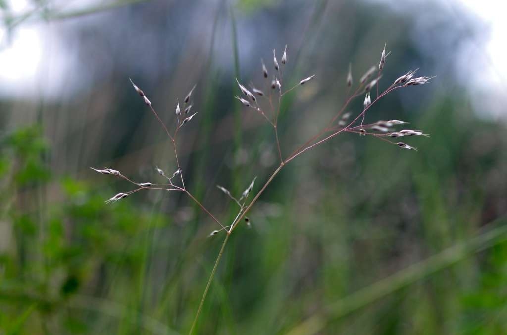 IMGP5477-1024~3.jpg