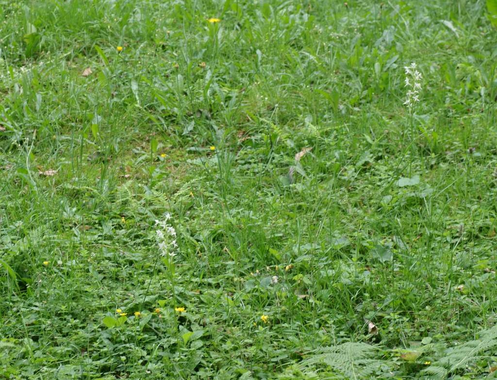 IMGP5492-1024~2.jpg
