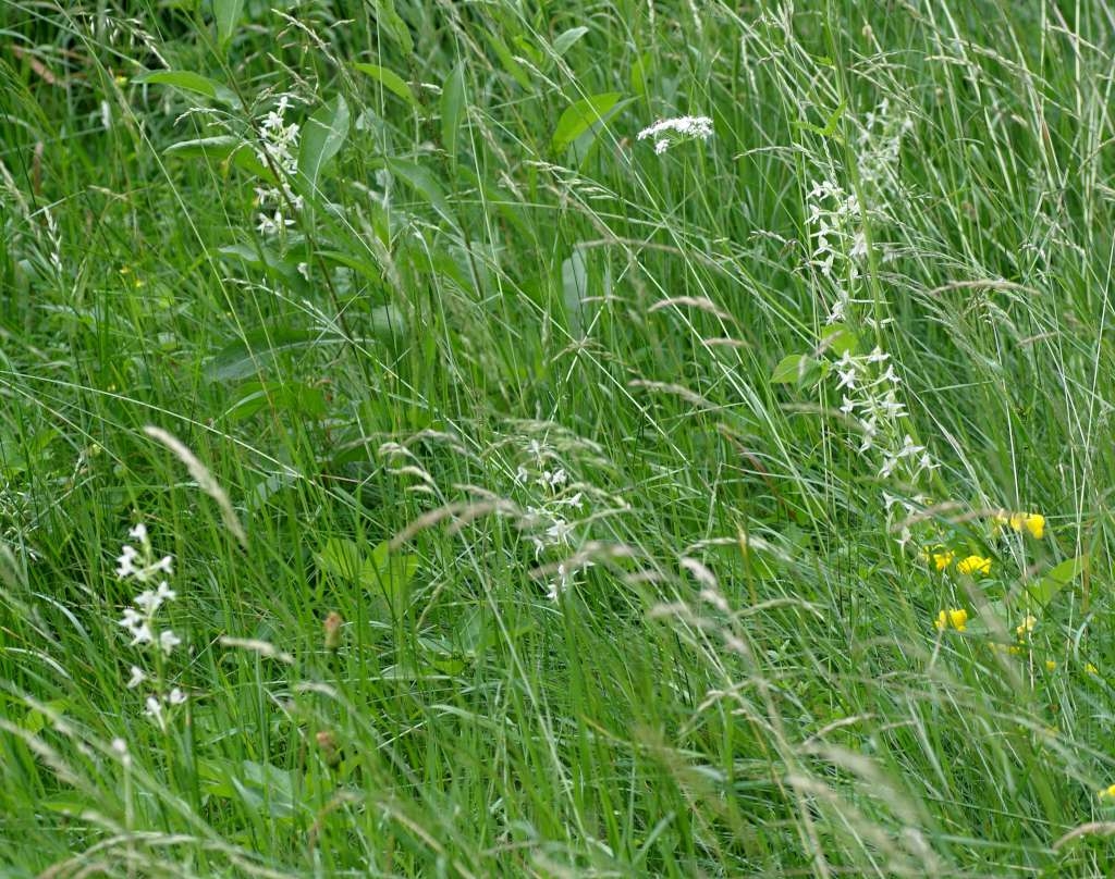 IMGP5499-1024~4.jpg