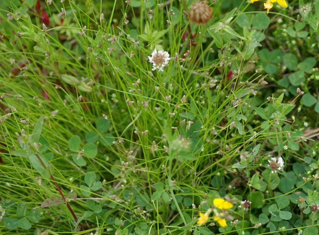 IMGP5514-1024~4.jpg