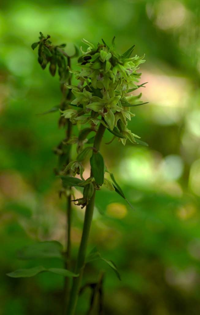 IMGP5558-1024~0.jpg