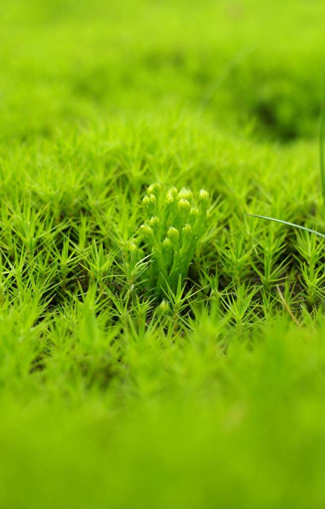 IMGP5571-1024~4.jpg