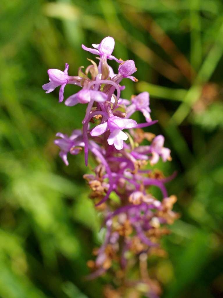 IMGP6040-1024.jpg