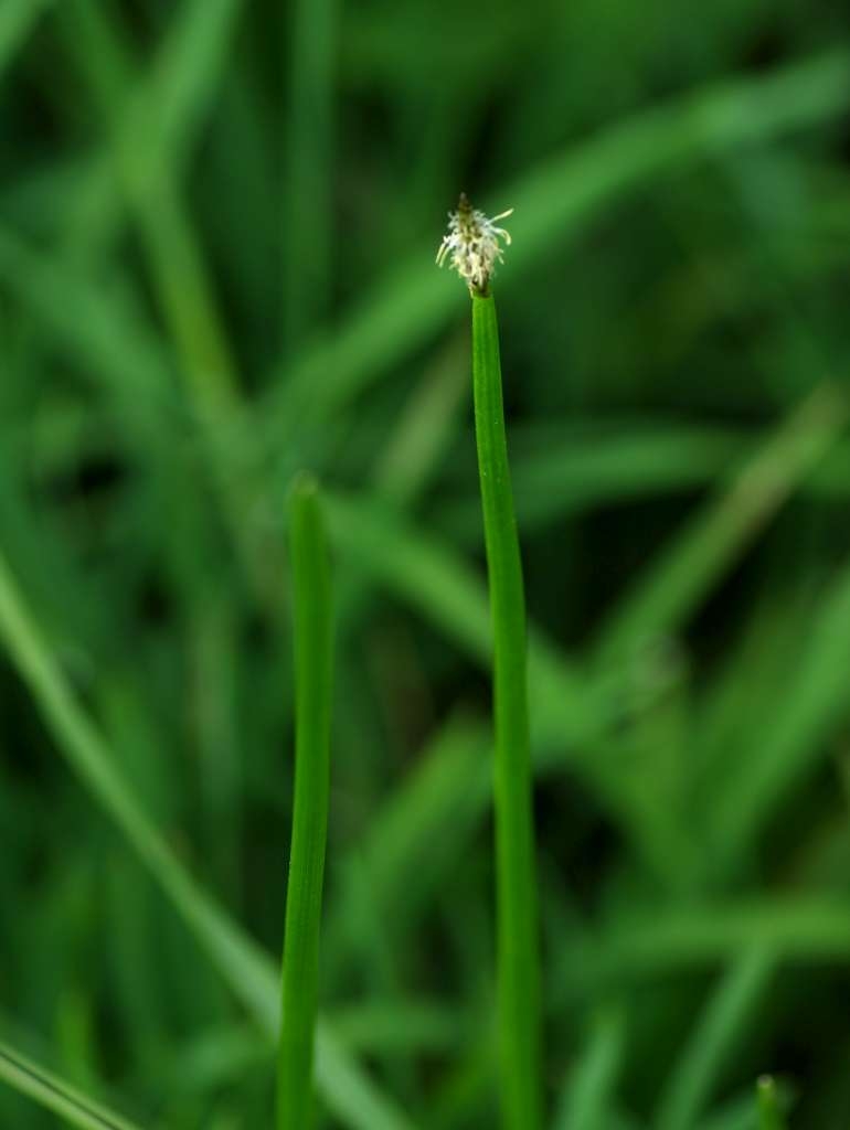 IMGP6103-1024~1.jpg