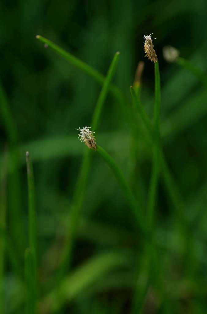 IMGP6104-1024~0.jpg