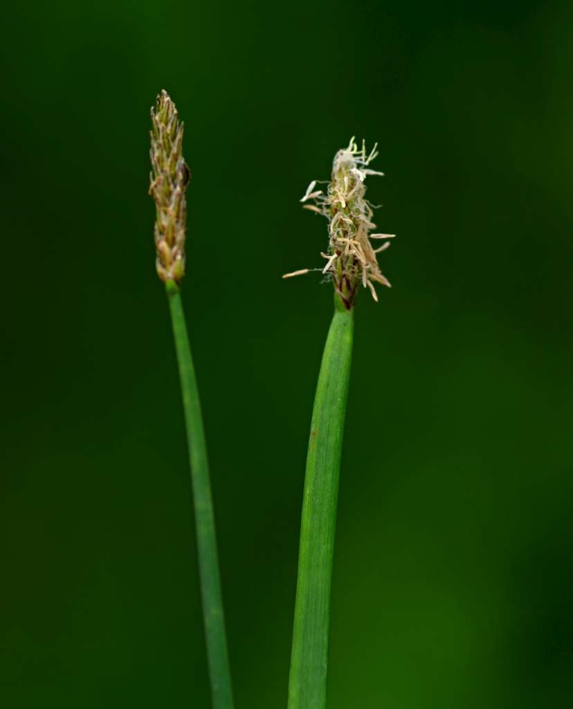 IMGP6114-1024~2.jpg