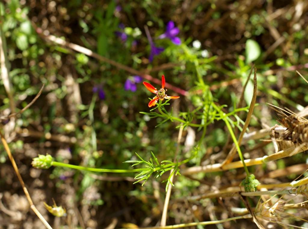 IMGP6119-1024~5.jpg