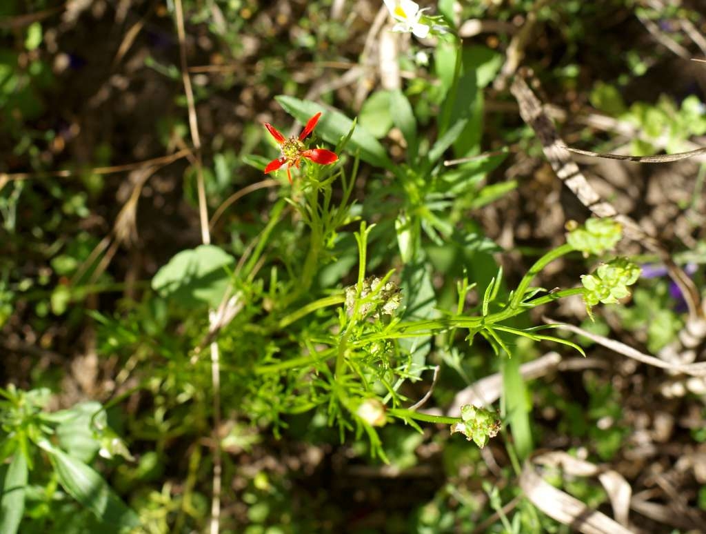 IMGP6121-1024~3.jpg