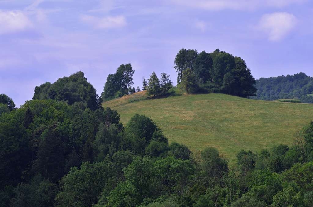 IMGP6129-1024~1.jpg