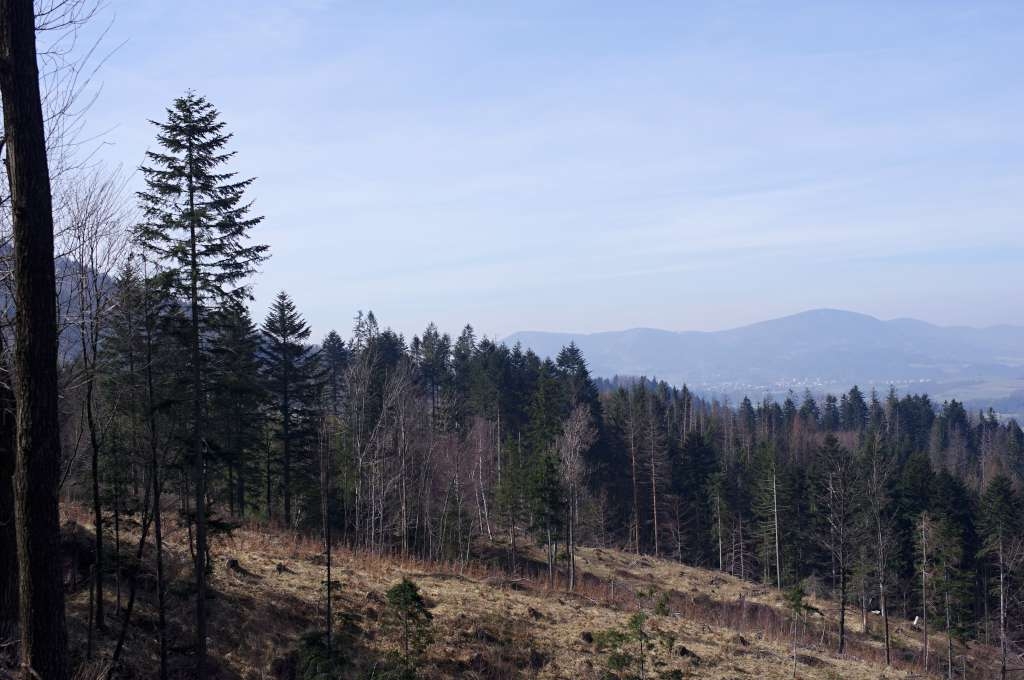 IMGP6134-1024.jpg