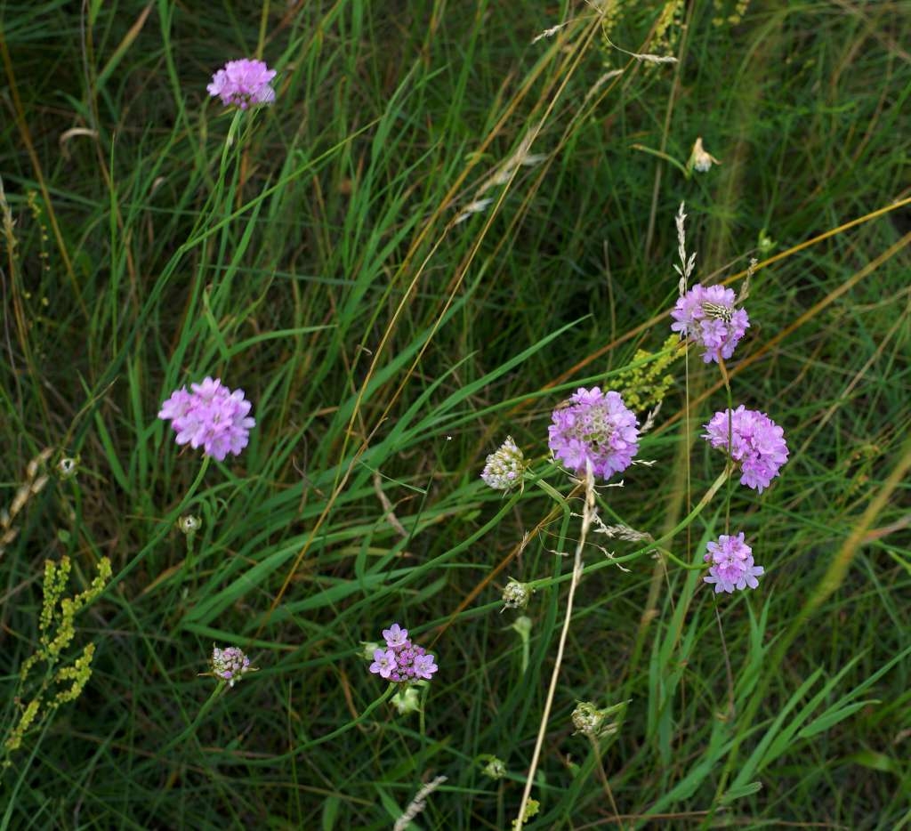 IMGP6199-1024~2.jpg