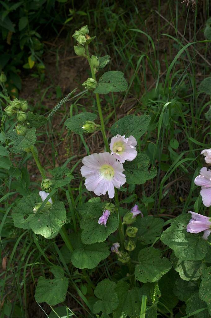 IMGP6267-1024~2.jpg