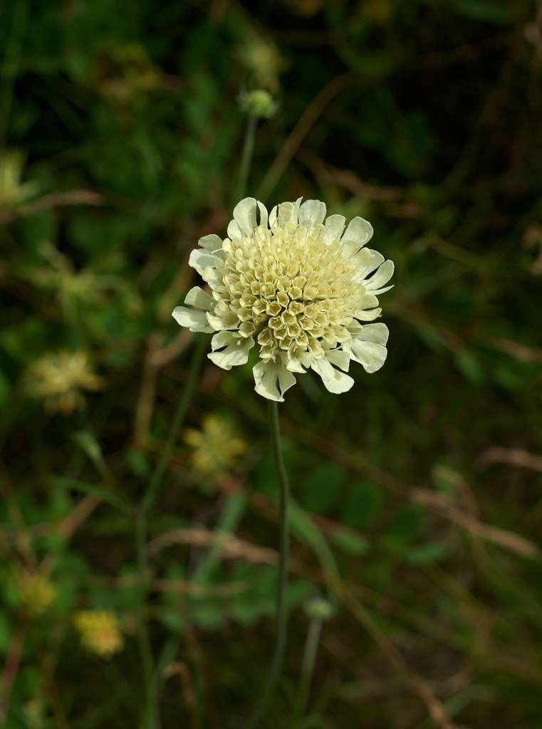 IMGP6320-1024~4.jpg