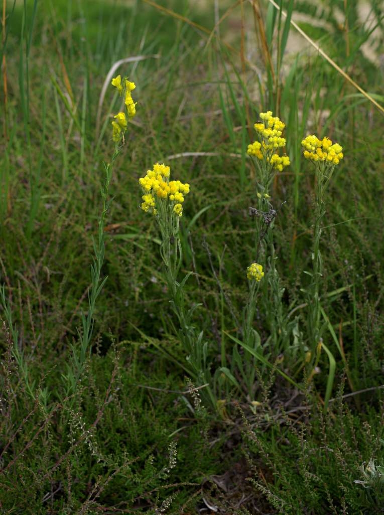IMGP6396-1024~4.jpg
