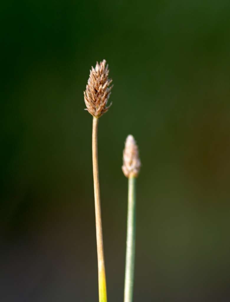 IMGP6416-1024~2.jpg