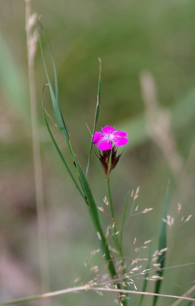 IMGP6555-1024~3.jpg