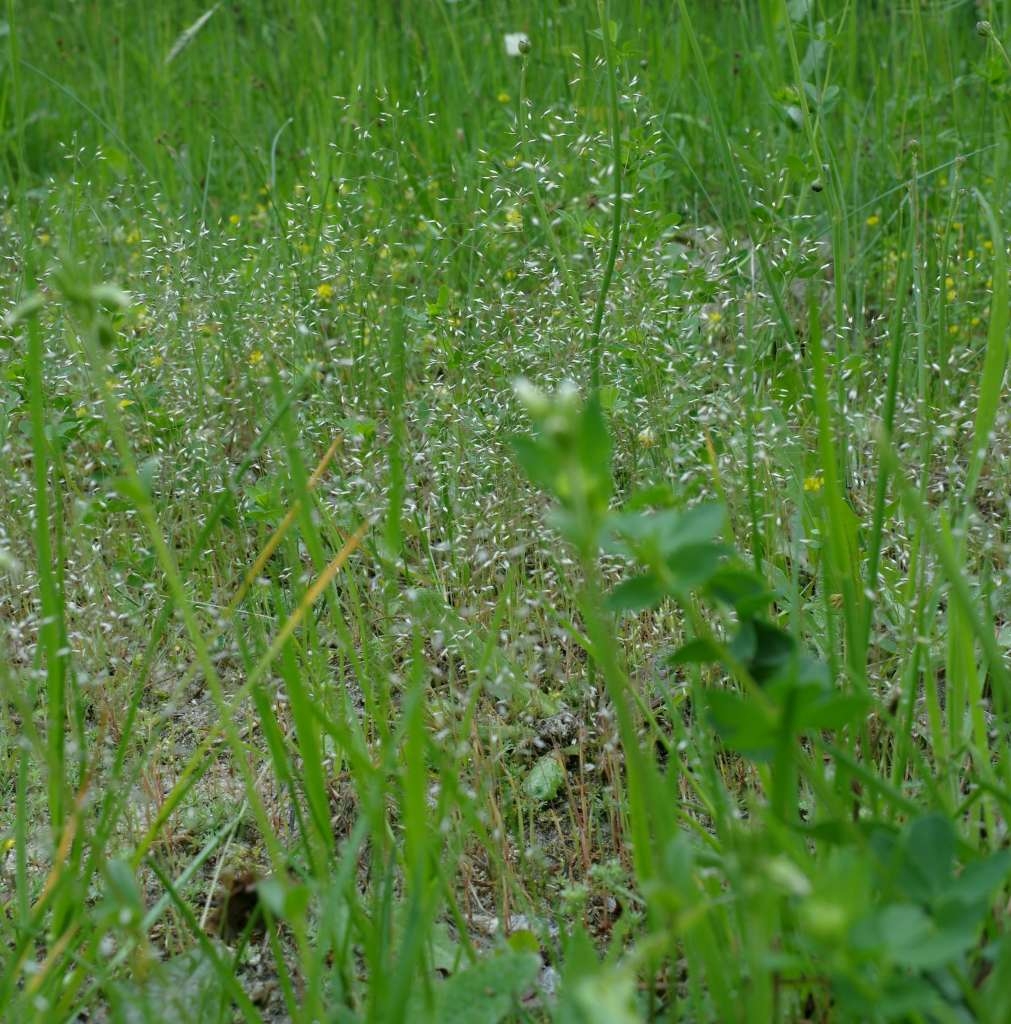 IMGP6611-1024.jpg