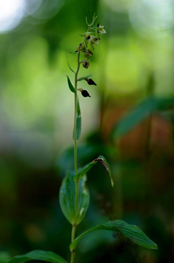 IMGP6643-1024~0.jpg
