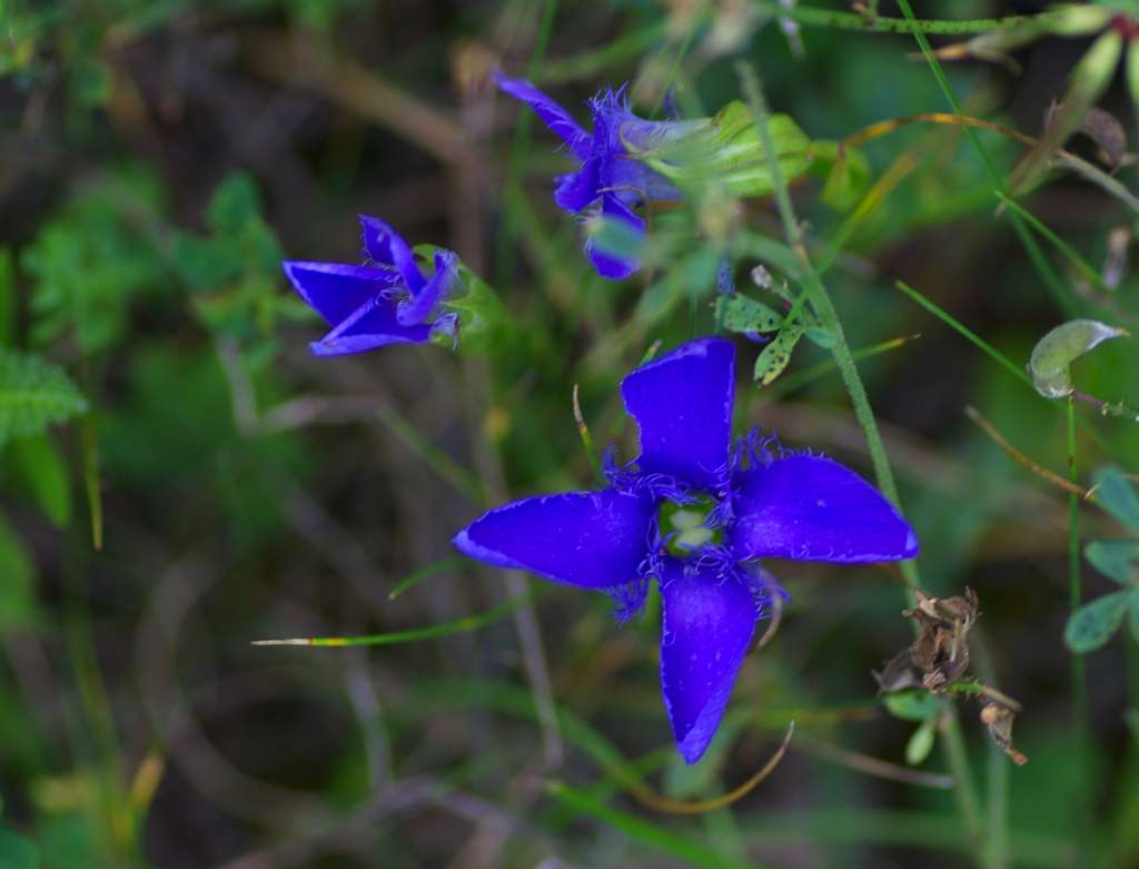IMGP6652-1024~0.jpg