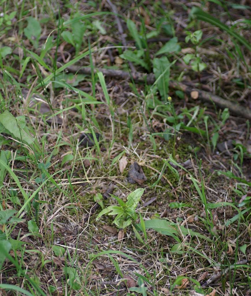 IMGP6754-1024~3.jpg