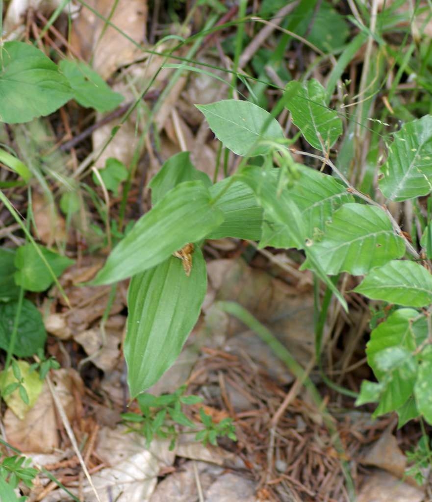 IMGP6802-1024~4.jpg