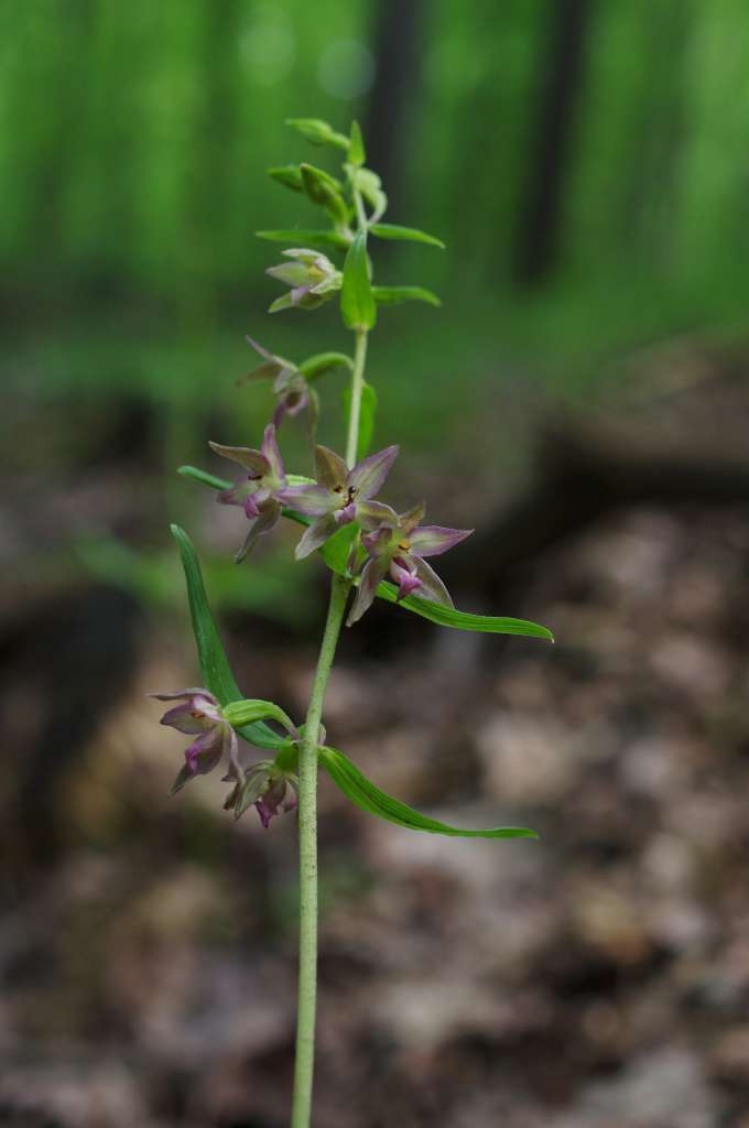 IMGP6817-1024~4.jpg