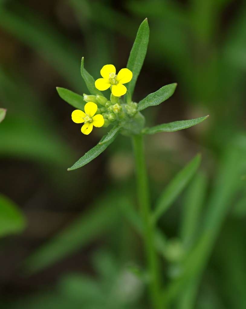 IMGP6819-1024~2.jpg