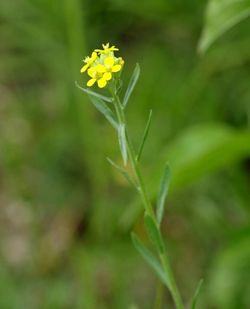 IMGP6824-1024~1.jpg
