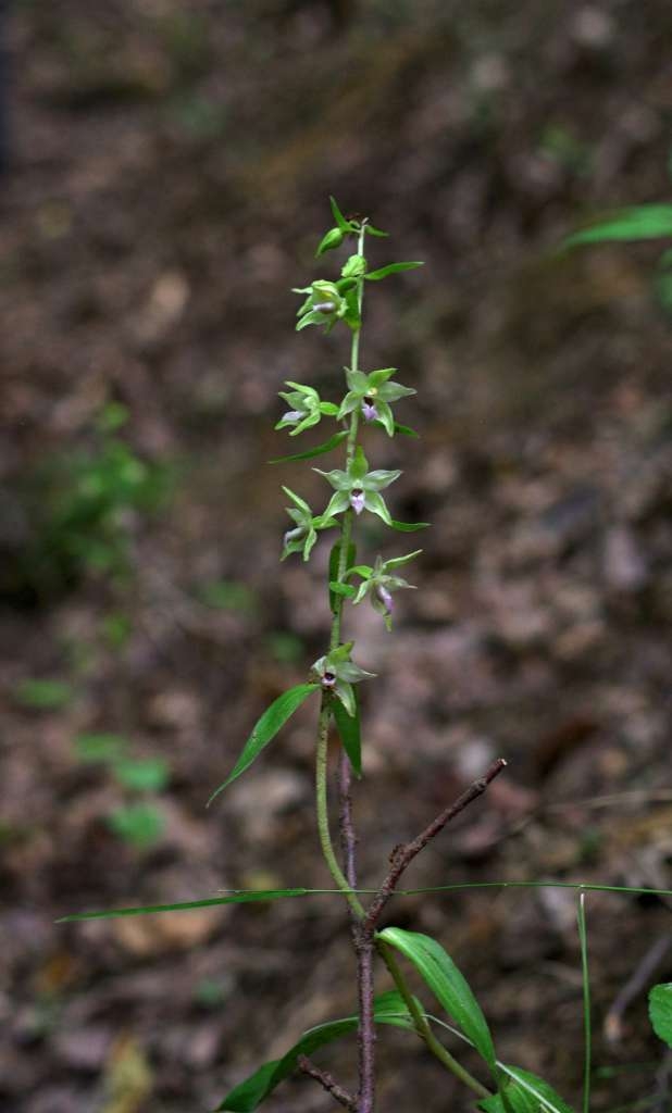 IMGP6826-1024~2.jpg