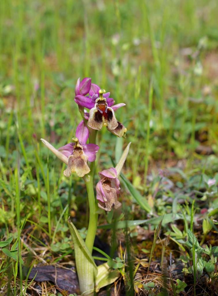 IMGP6827-1024~1.jpg