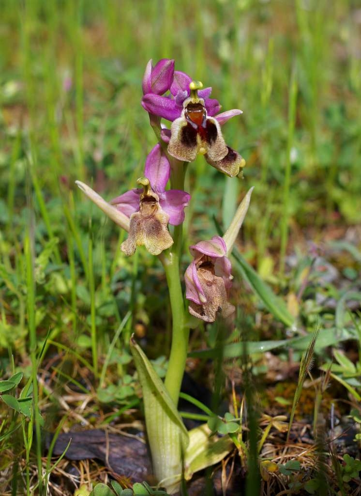 IMGP6828-1024~3.jpg