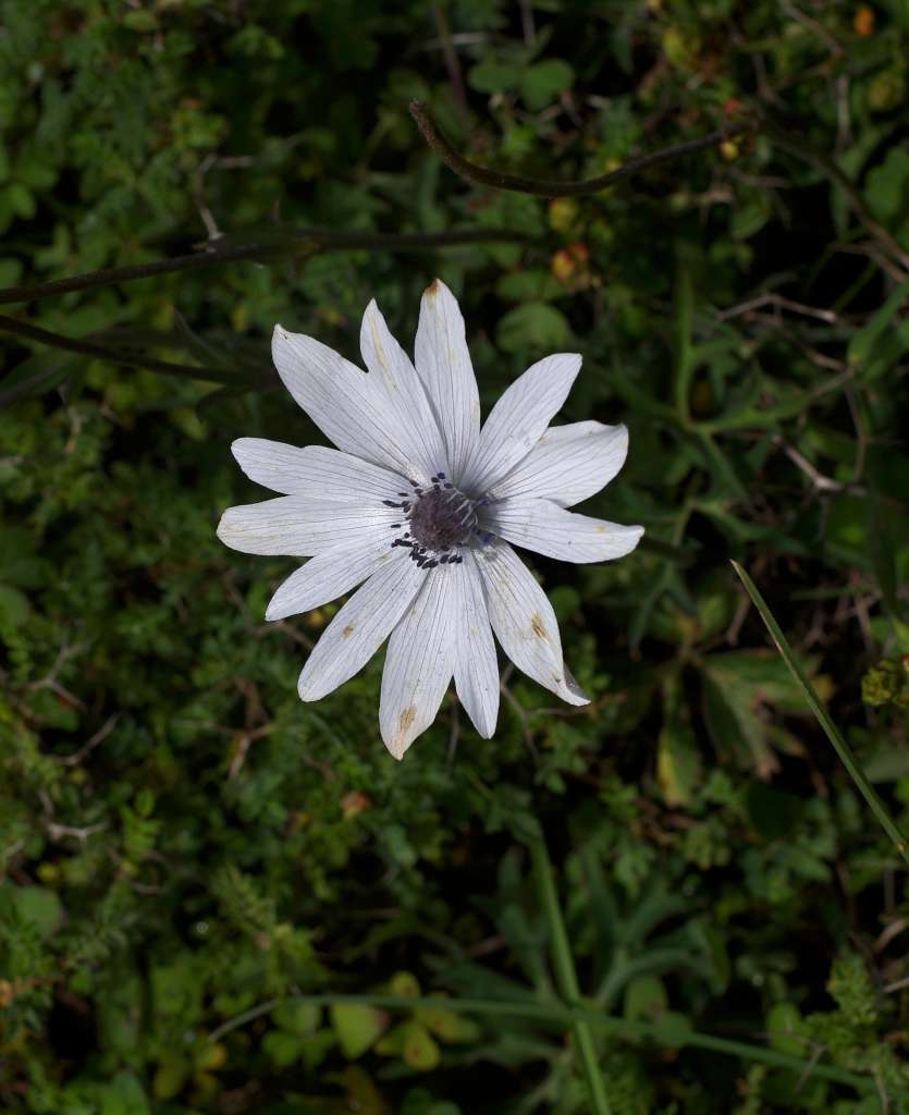 IMGP6861-1024~3.jpg