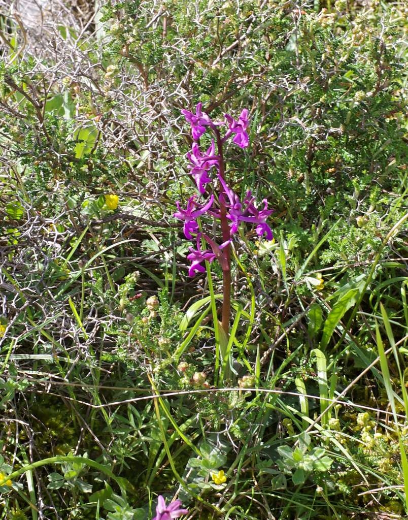 IMGP6884-1024~2.jpg