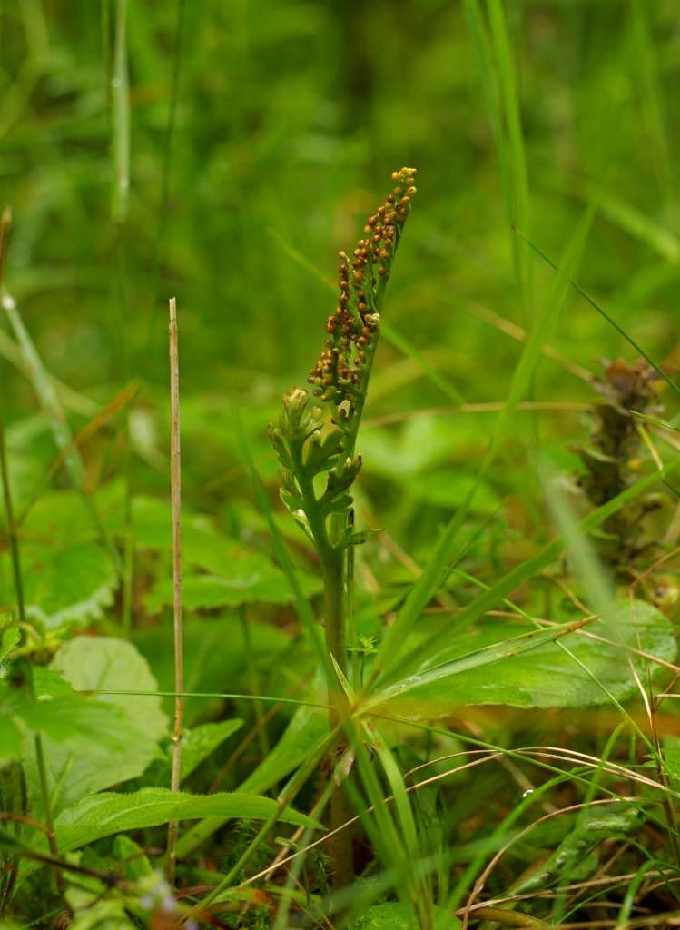 IMGP6916-1024~3.jpg