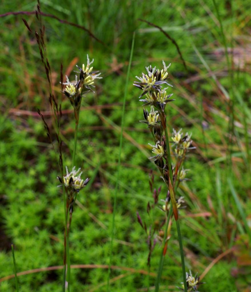 IMGP6946-1024~2.jpg