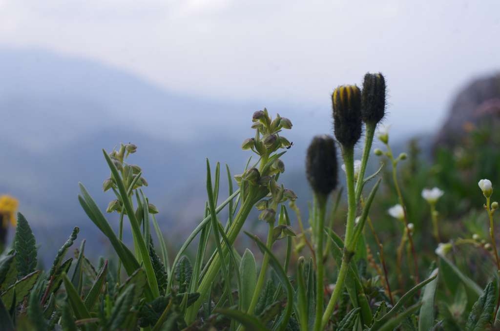IMGP6997-1024.jpg