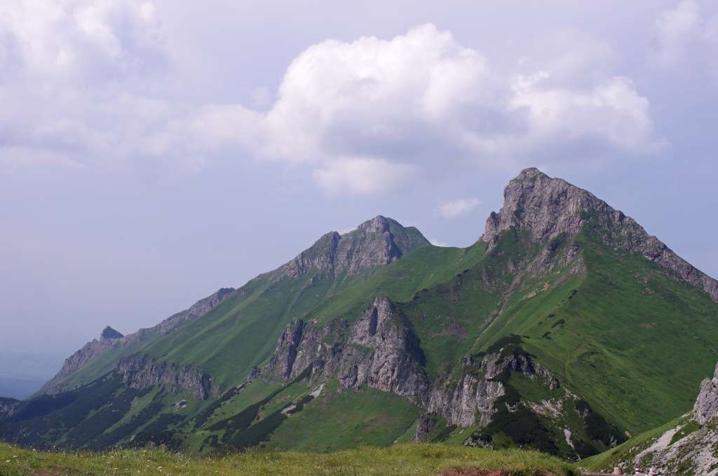 IMGP7012-1024.jpg