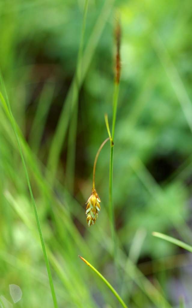 IMGP7012-1024~4.jpg