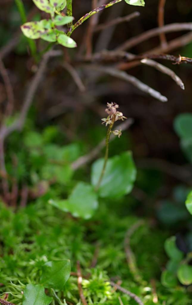 IMGP7026-1024~4.jpg