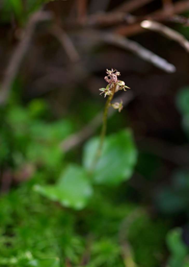 IMGP7028-1024~2.jpg