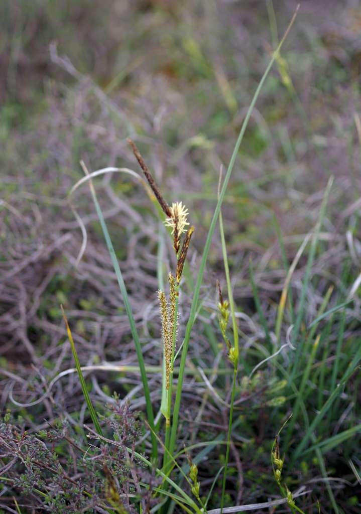 IMGP7074-1024~2.jpg