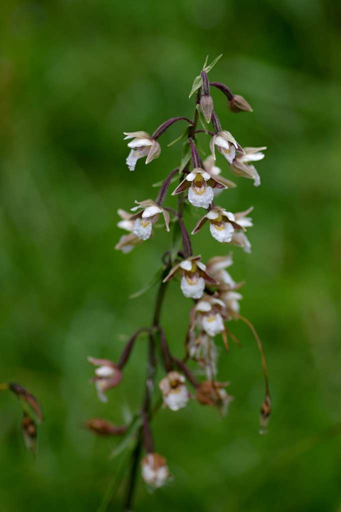 IMGP7142-1024~2.jpg