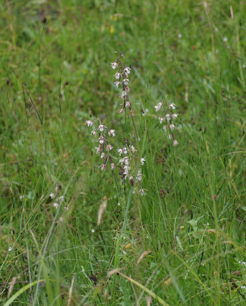 IMGP7144-1024~2.jpg