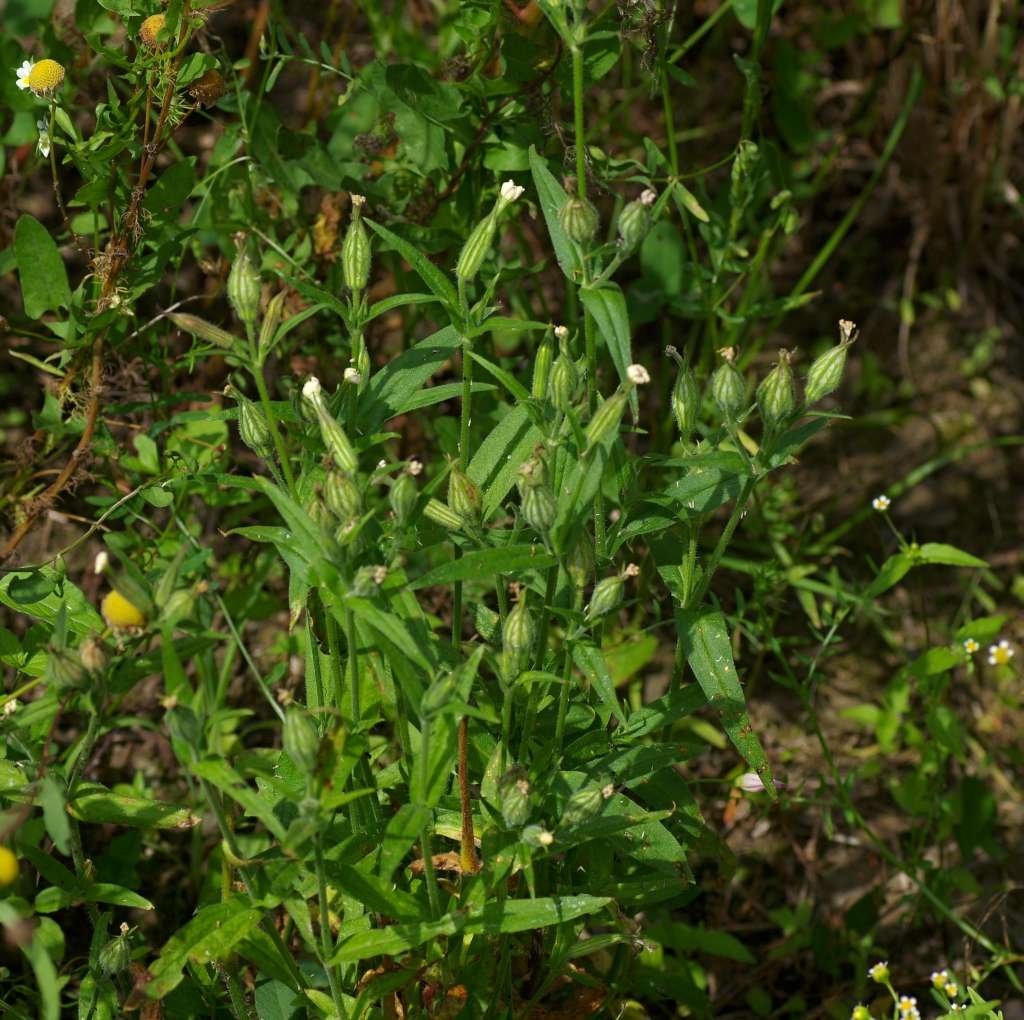IMGP7215-1024~5.jpg