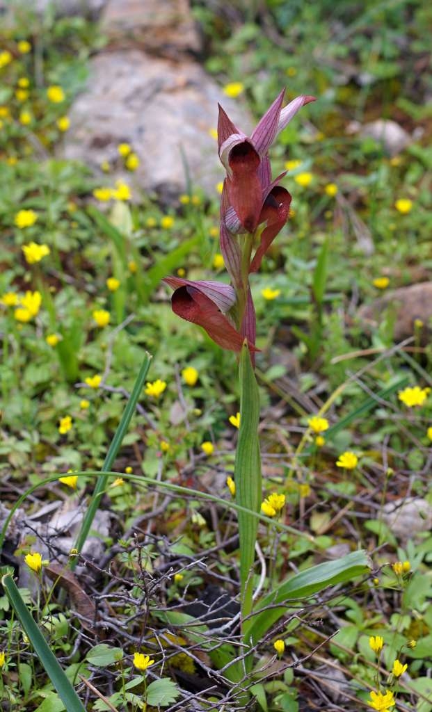 IMGP7299-1024~2.jpg
