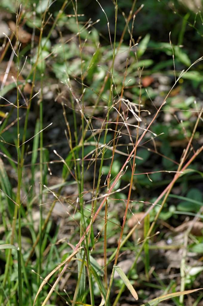 IMGP7343-1024~1.jpg