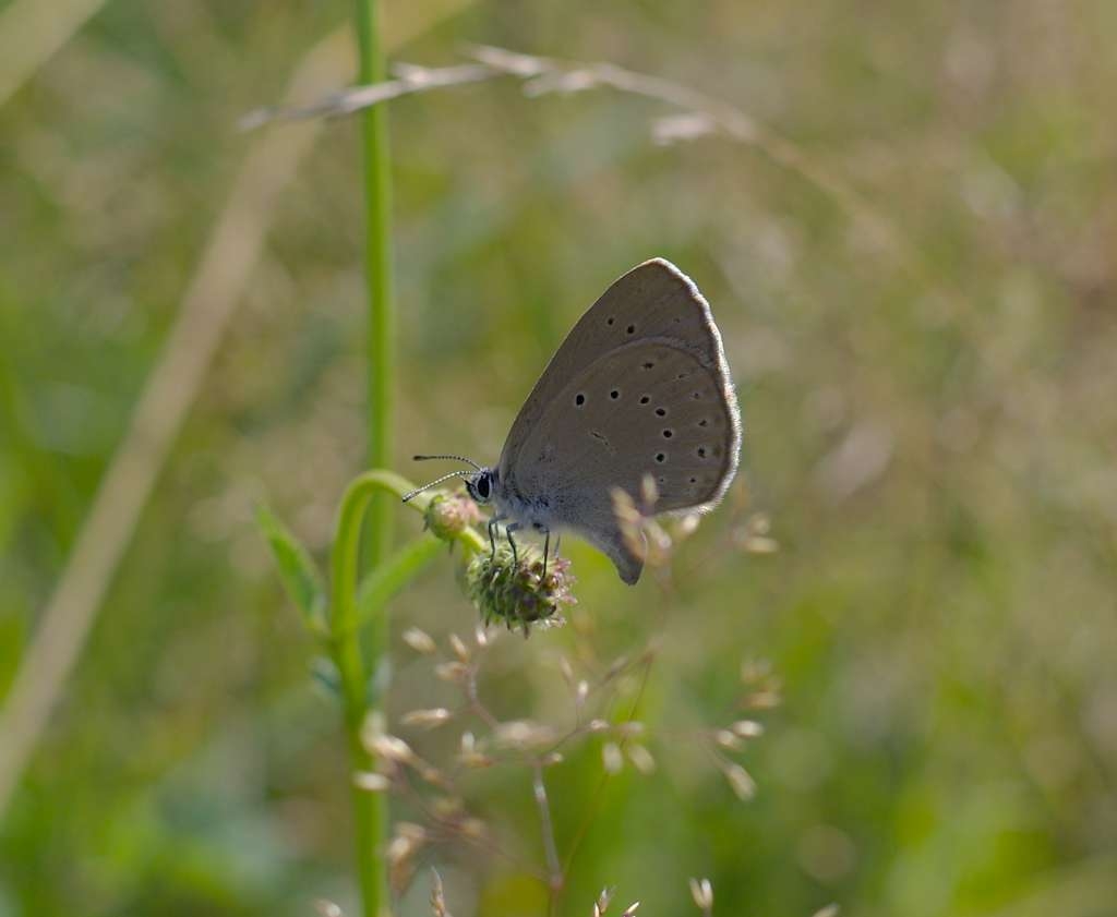 IMGP7402-1024~2.jpg