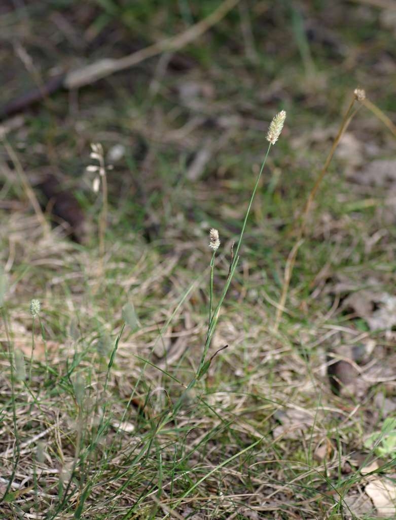 IMGP7496-1024~2.jpg